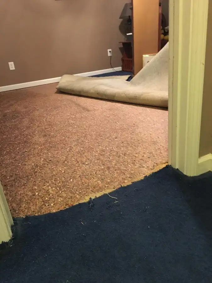 Carpet pad removal revealing water damage during Drying & Dehumidification in West Hartford